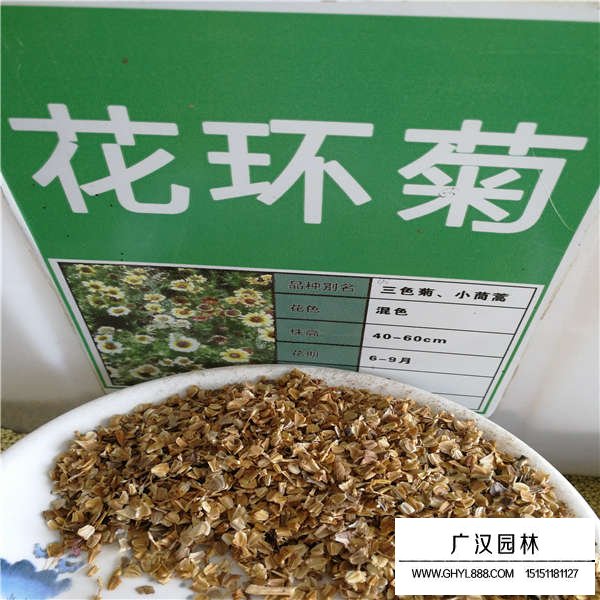 一斤花環(huán)菊種子多少錢(圖1)