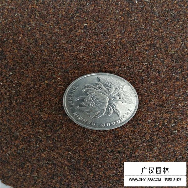 婆婆納種子多少錢一斤(圖3)