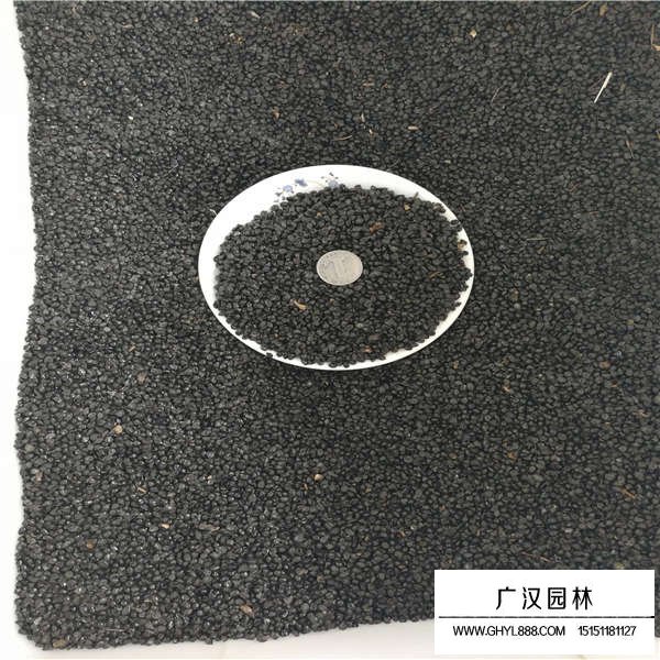 大花萱草種子多少錢一斤(圖3)