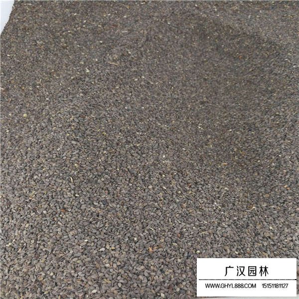 福祿考種子價(jià)格是多少(圖2)