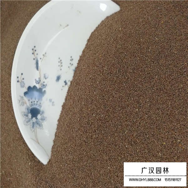 狗牙根種子產(chǎn)地在哪里(圖3)