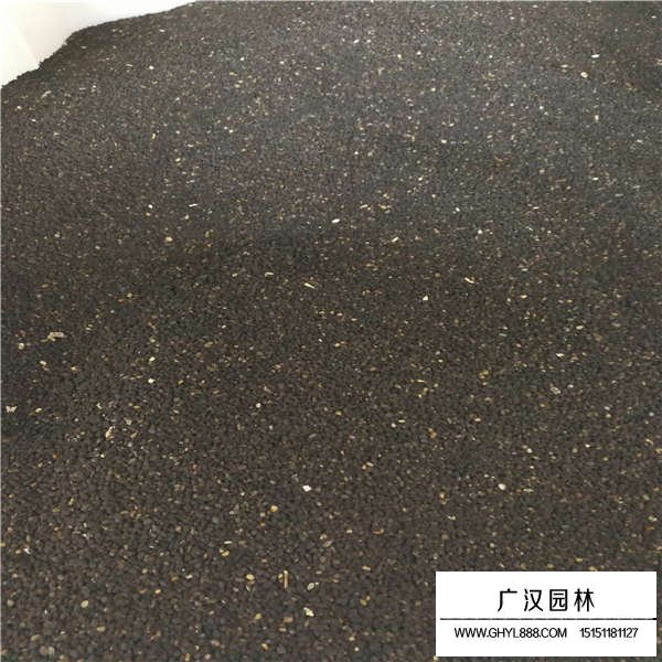 黑種草種子價(jià)格多少錢(圖2)