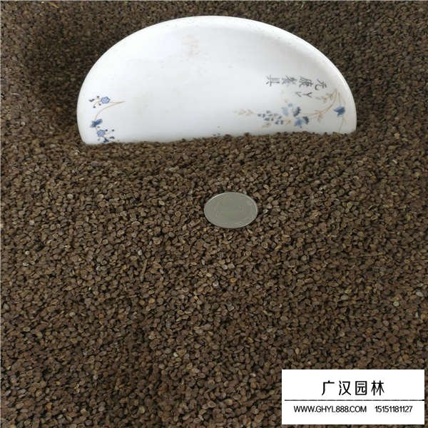 忽忘我種子產(chǎn)地在哪里(圖3)