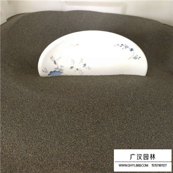 太陽花產(chǎn)地在哪里(圖3)