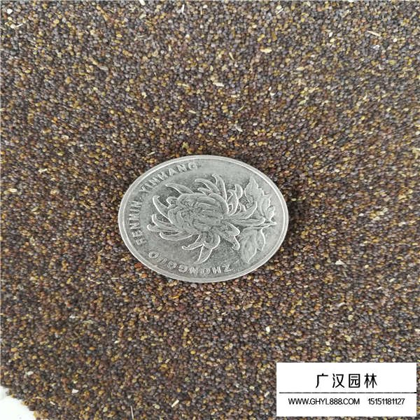 虞美人種子多少錢(圖3)