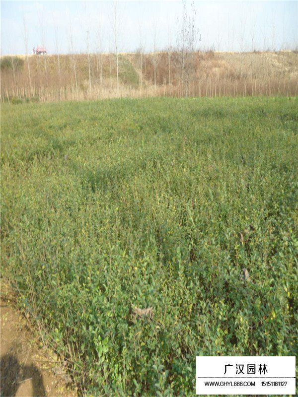 水臘的好理解介紹(圖4)