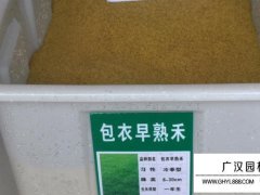 包衣早熟禾種子