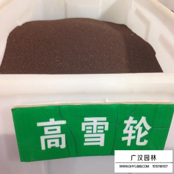 高雪輪種子(圖1)