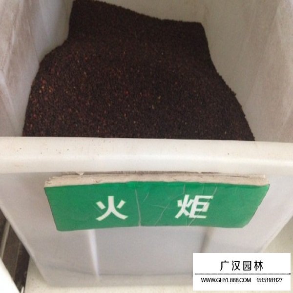 哪里可以找到火炬種子(圖1)