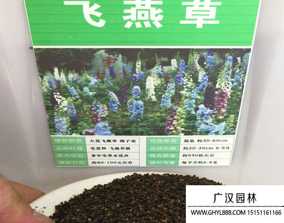 飛燕草種子 飛燕草種子