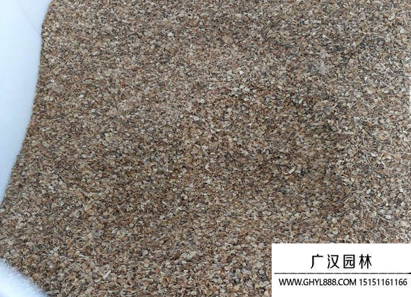 花環(huán)菊種子 花環(huán)菊種子