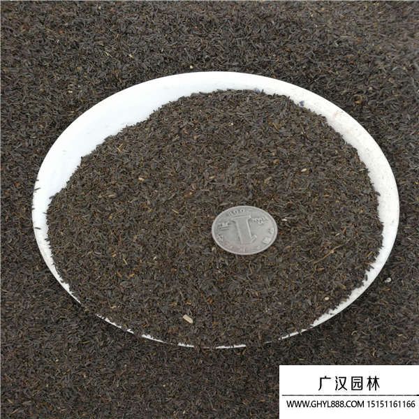 蛇目菊種子 蛇目菊種子