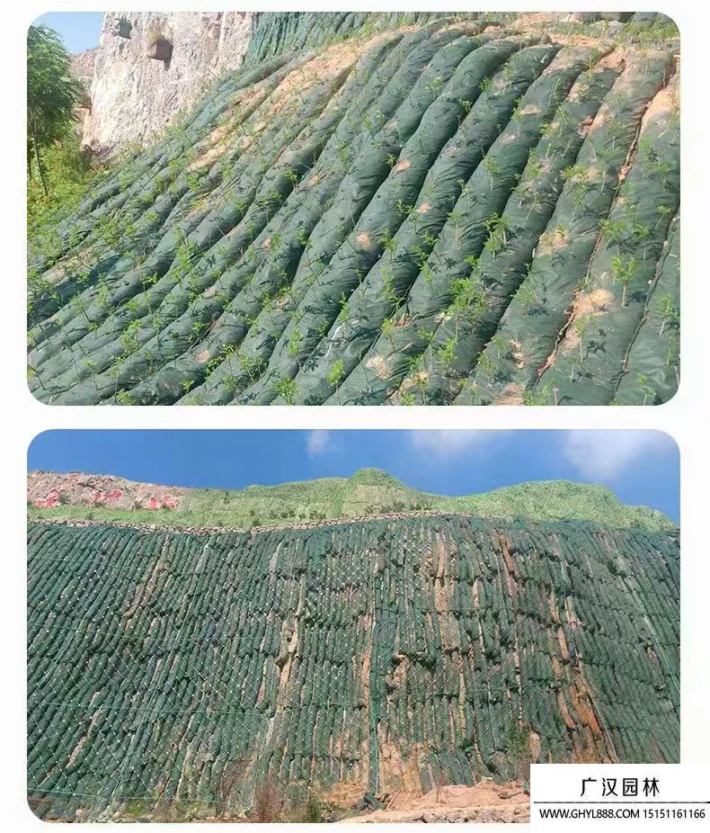 礦山生態(tài)恢復治理措施 礦山生態(tài)恢復治理措施