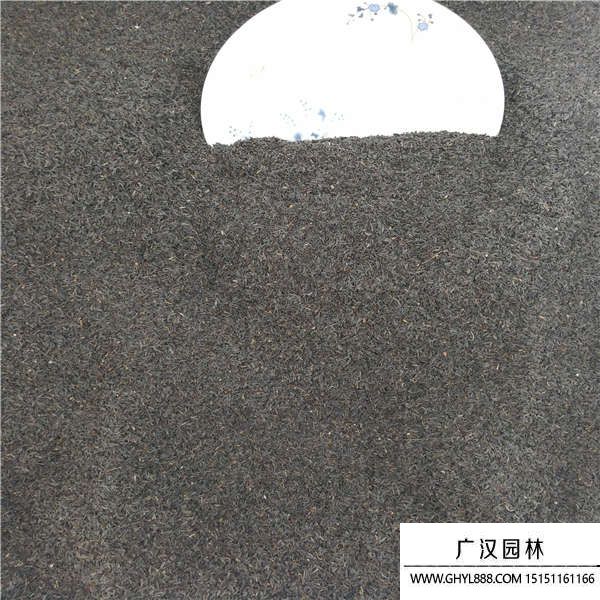 蛇目菊種子 蛇目菊種子