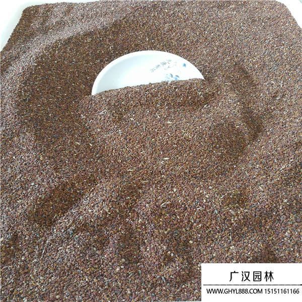 紫云英種子 紫云英種子