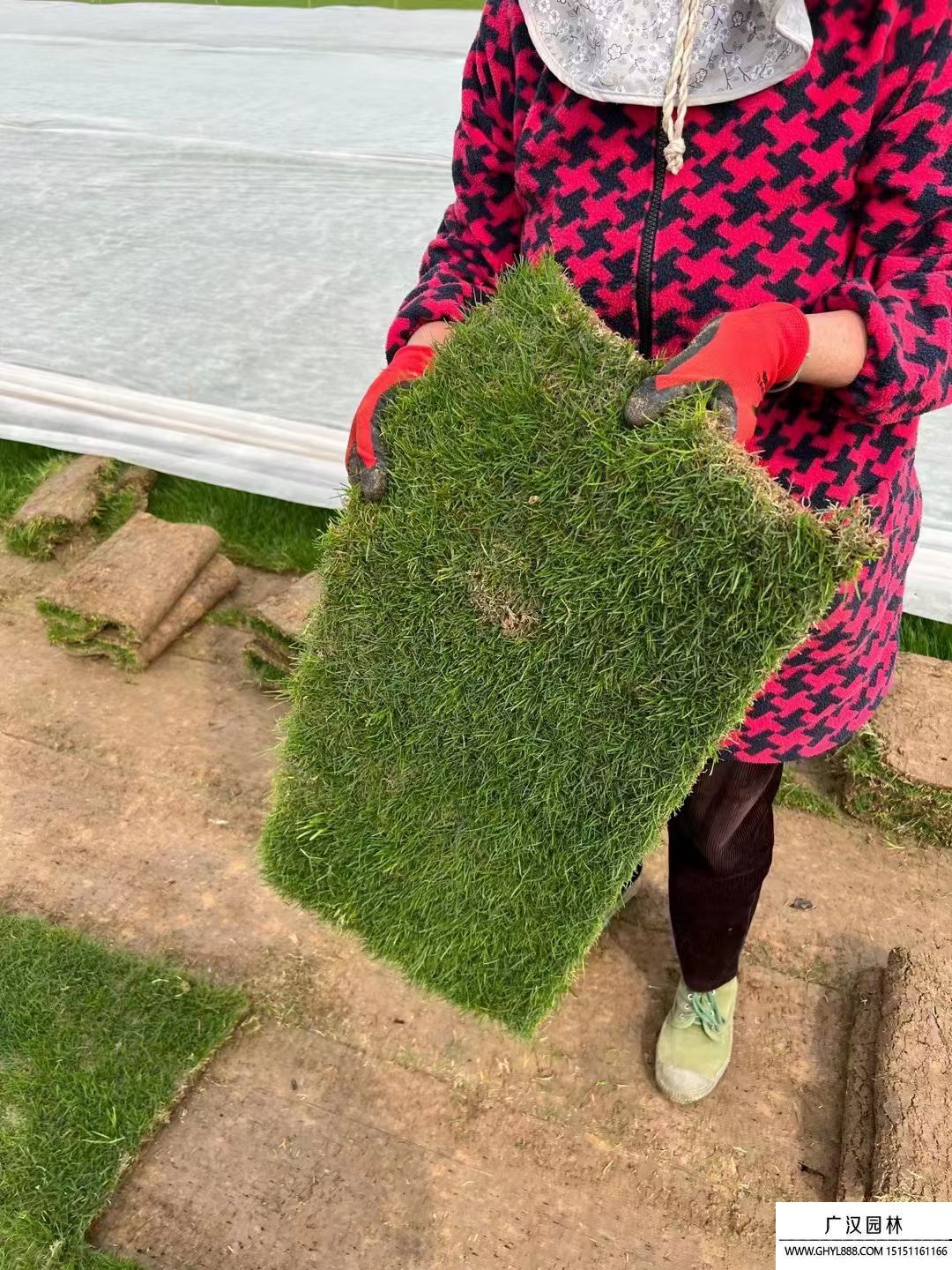 草皮護坡 草皮護坡