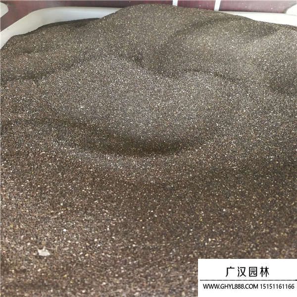 金魚草種子 金魚草種子