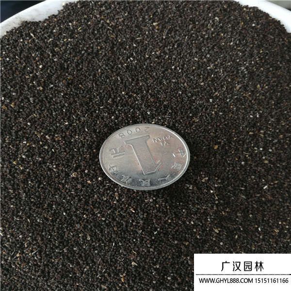 金魚草種子 金魚草種子