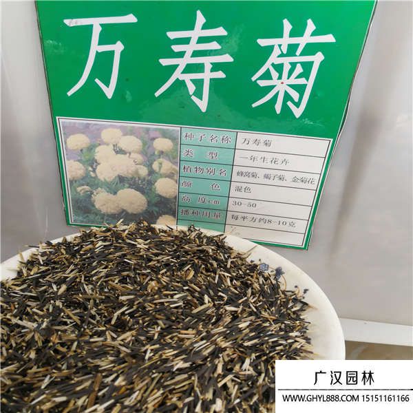 萬(wàn)壽菊 萬(wàn)壽菊