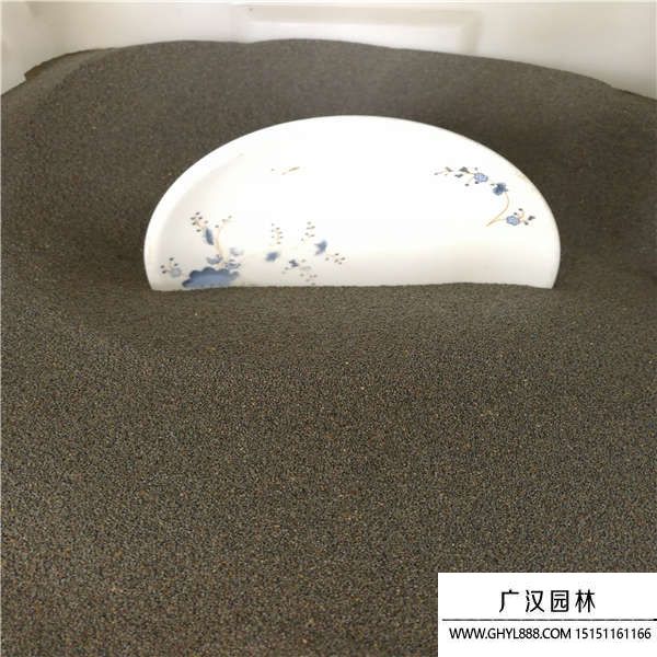 太陽(yáng)花種子 太陽(yáng)花種子