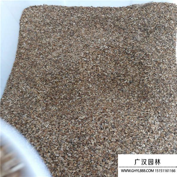 花環(huán)菊種子 花環(huán)菊種子