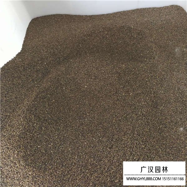 千鳥(niǎo)草種子