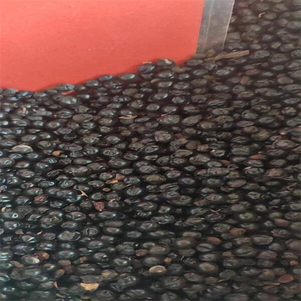 射干種子 (1).jpg