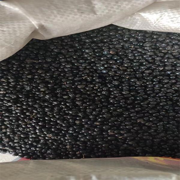 射干種子 (2).jpg