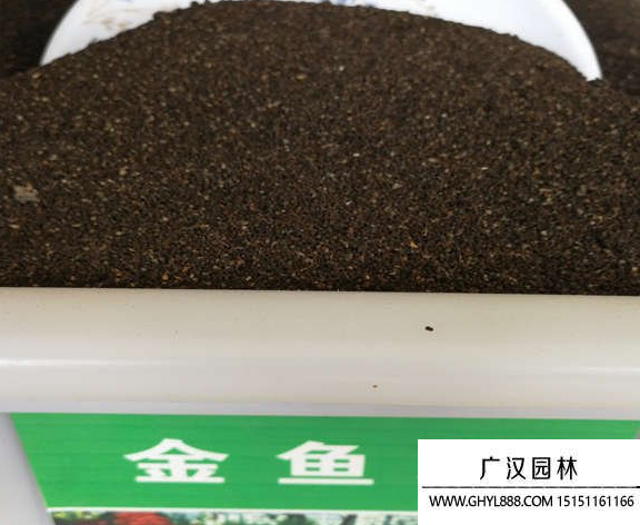 金魚草種子 金魚草種子