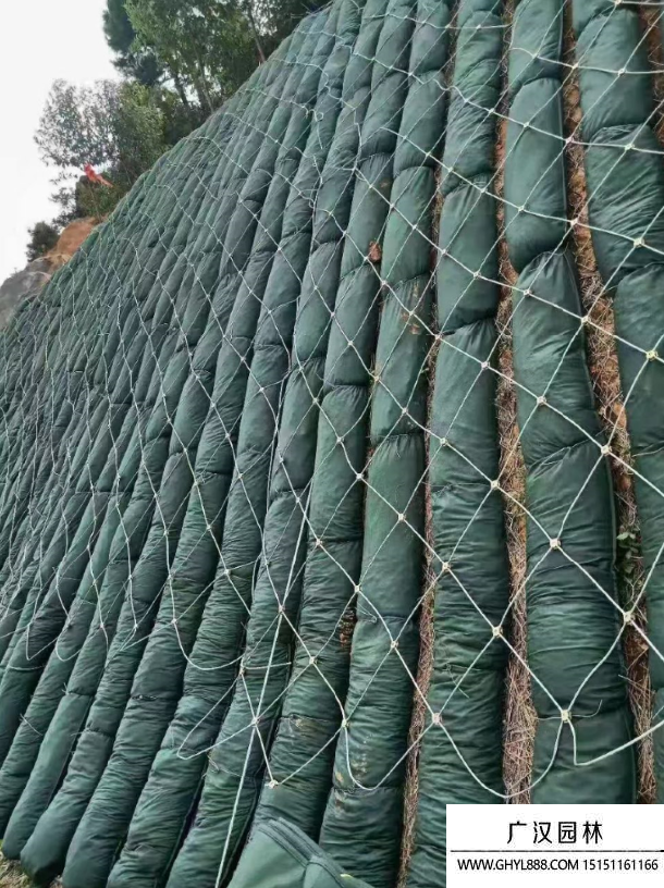 礦山修復治理 礦山修復治理