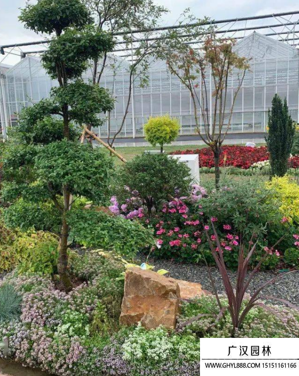 花境設(shè)計(jì)